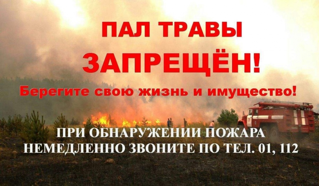 не жги траву.jpg